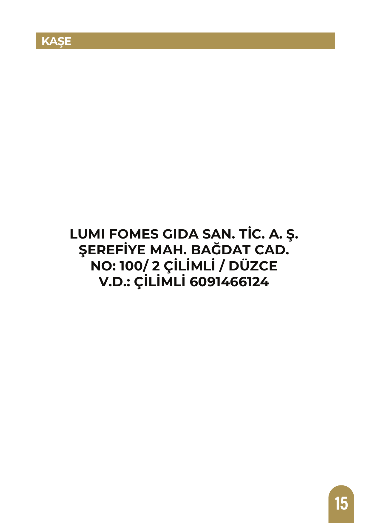 Kurumsal Kimlik Sayfa 17